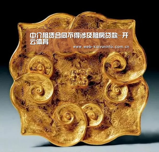 中介租赁合同不得涉及租房贷款-开云体育(图3) 开云体育
