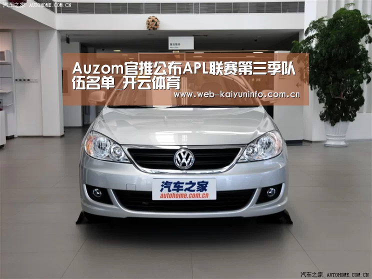 Auzom官推公布APL联赛第三季队伍名单_开云体育(图3) 开云体育